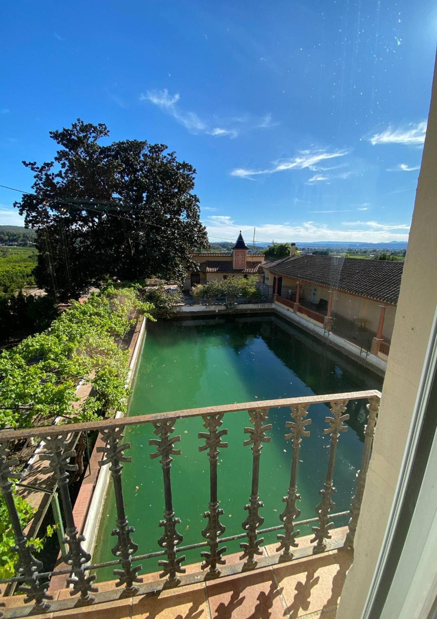 Casa Magnolia, A Rural Paradise House With Pool อัลซีรา ภายนอก รูปภาพ