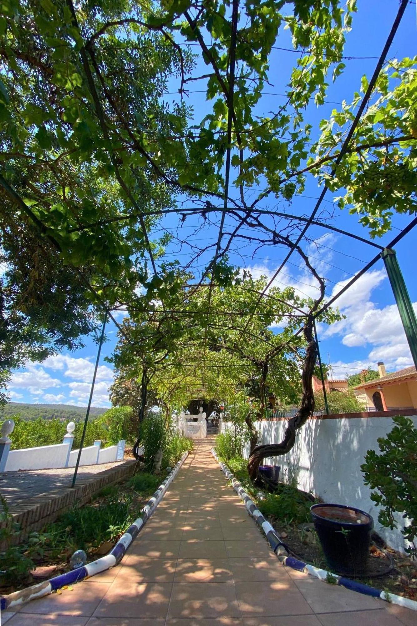 Casa Magnolia, A Rural Paradise House With Pool อัลซีรา ภายนอก รูปภาพ
