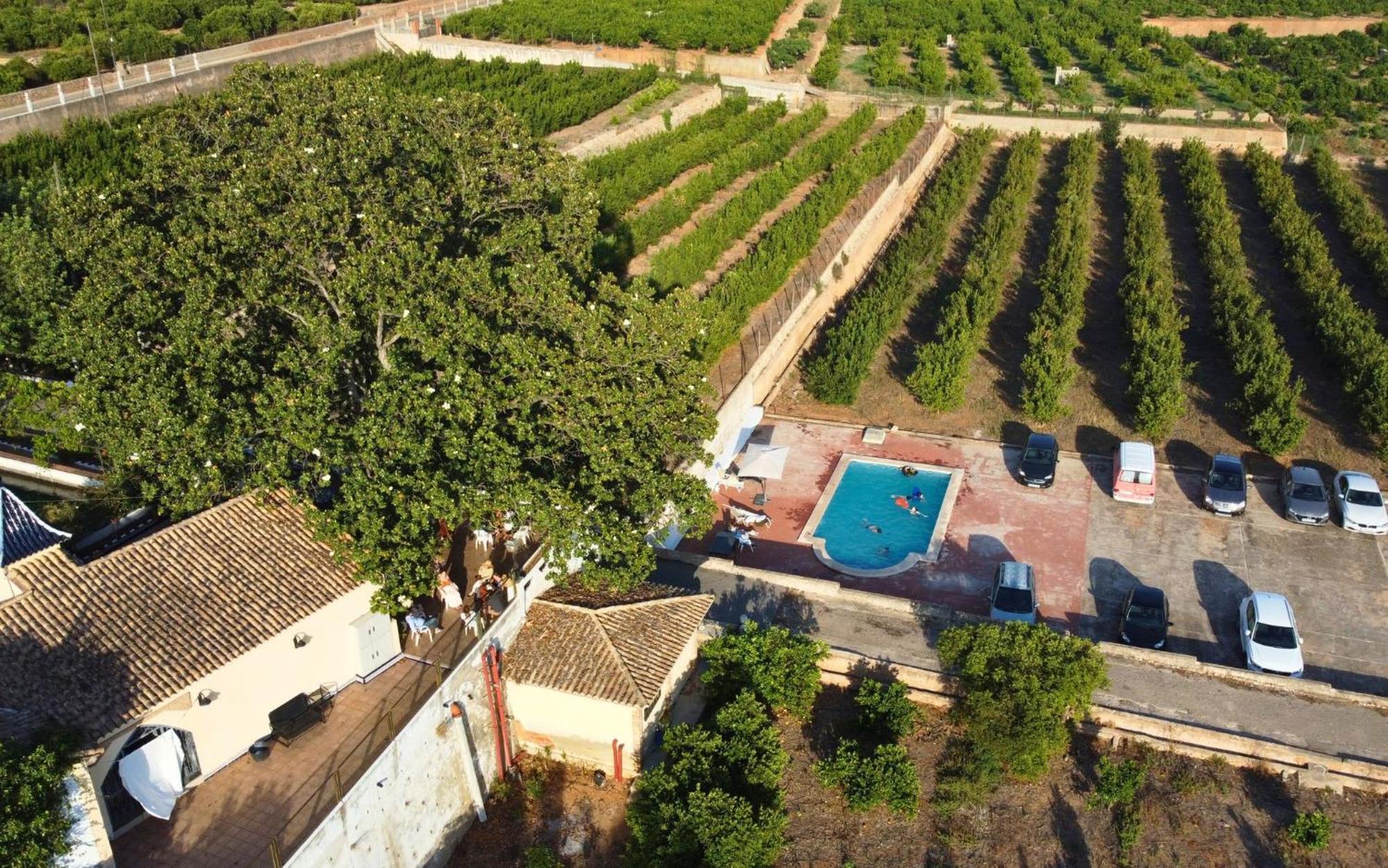 Casa Magnolia, A Rural Paradise House With Pool อัลซีรา ภายนอก รูปภาพ