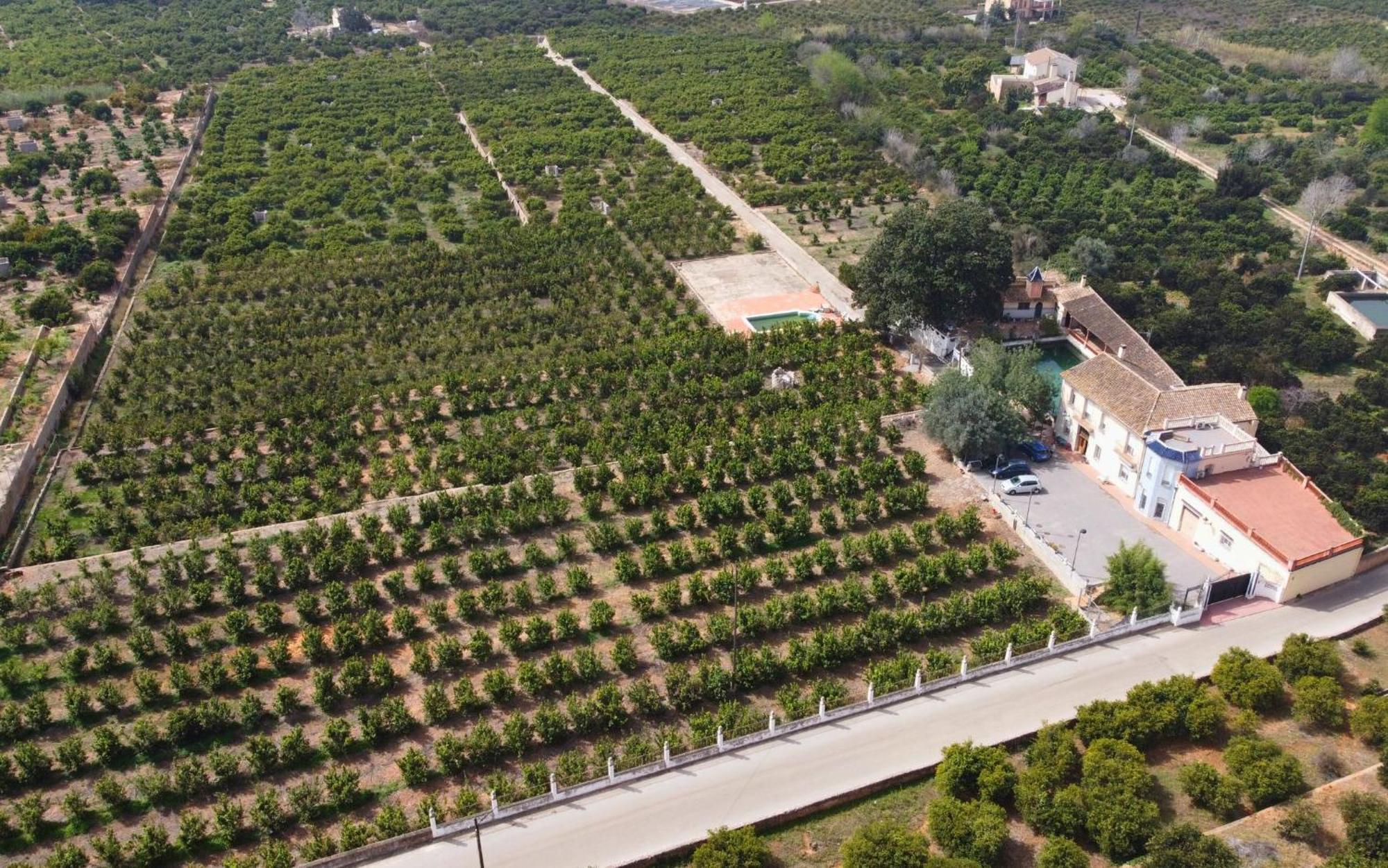 Casa Magnolia, A Rural Paradise House With Pool อัลซีรา ภายนอก รูปภาพ