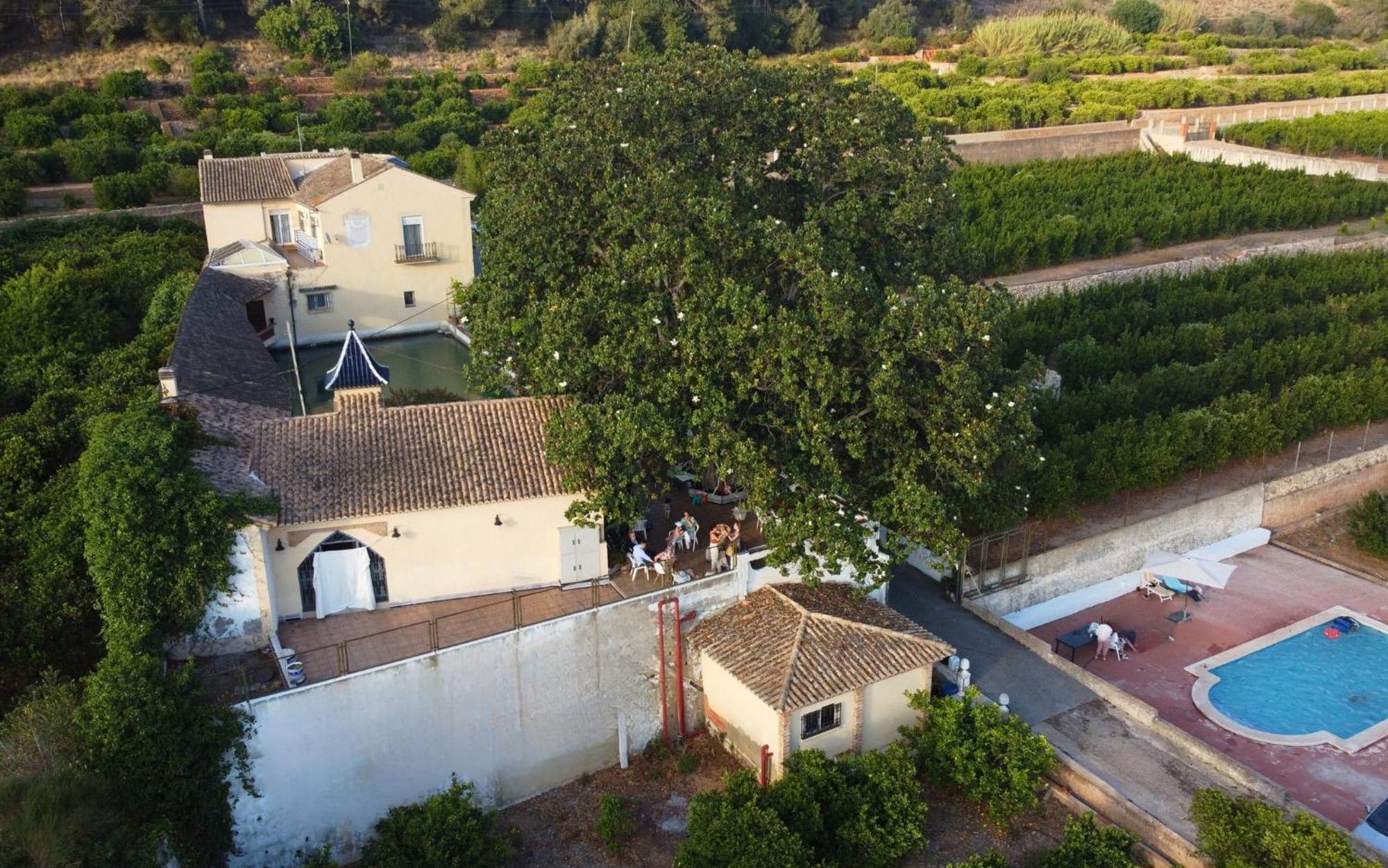 Casa Magnolia, A Rural Paradise House With Pool อัลซีรา ภายนอก รูปภาพ