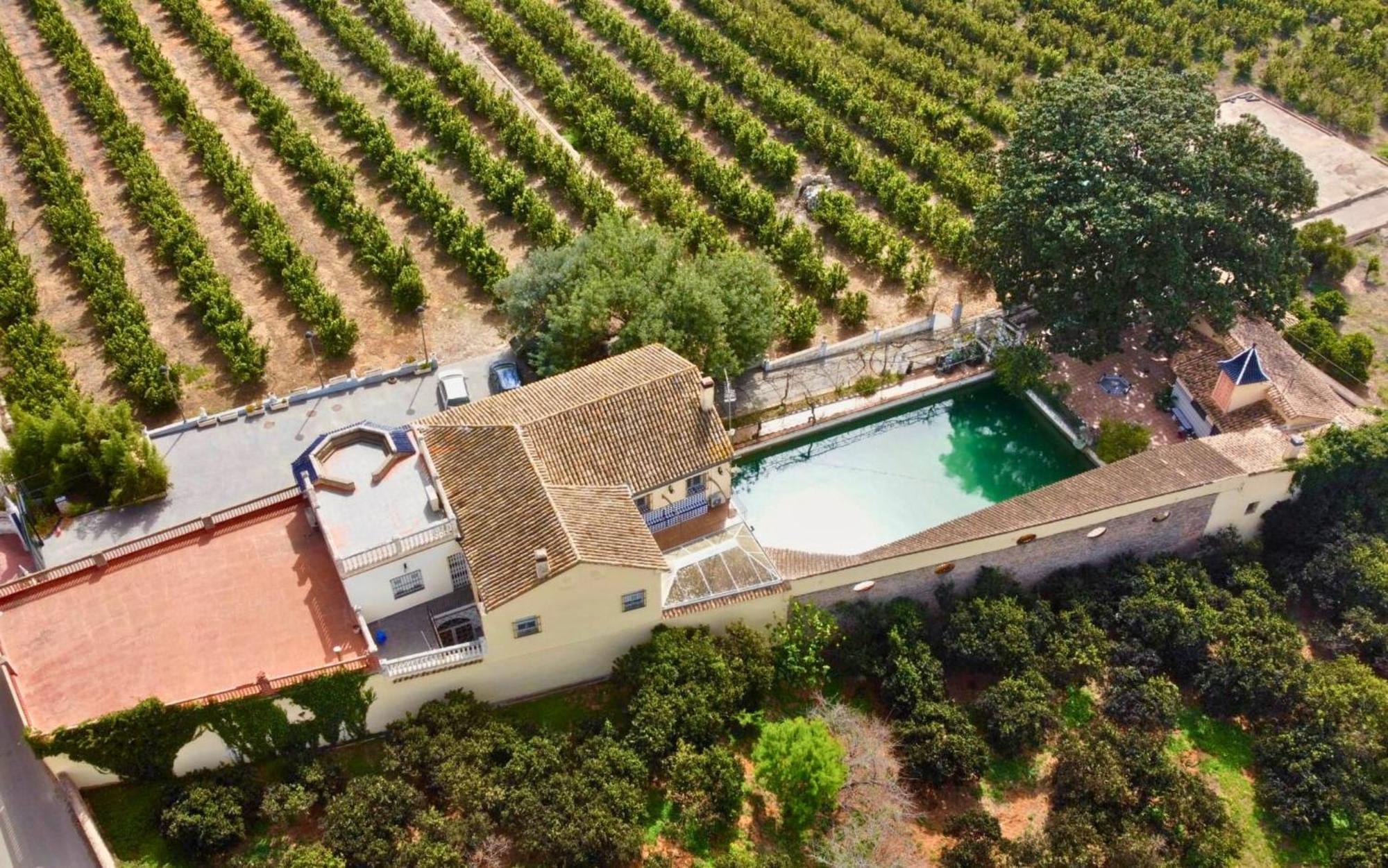 Casa Magnolia, A Rural Paradise House With Pool อัลซีรา ภายนอก รูปภาพ